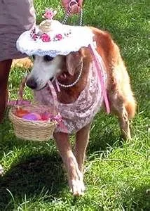 Easter Pet Parade.jpg