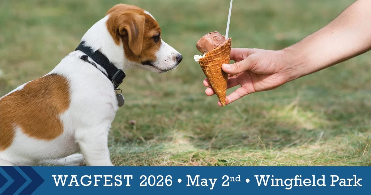 Promotional event graphic for WagFest 2026 May 2, 2026, from 11:00 AM to 3:00 PM at Wingfield Park in Ruidoso, NM