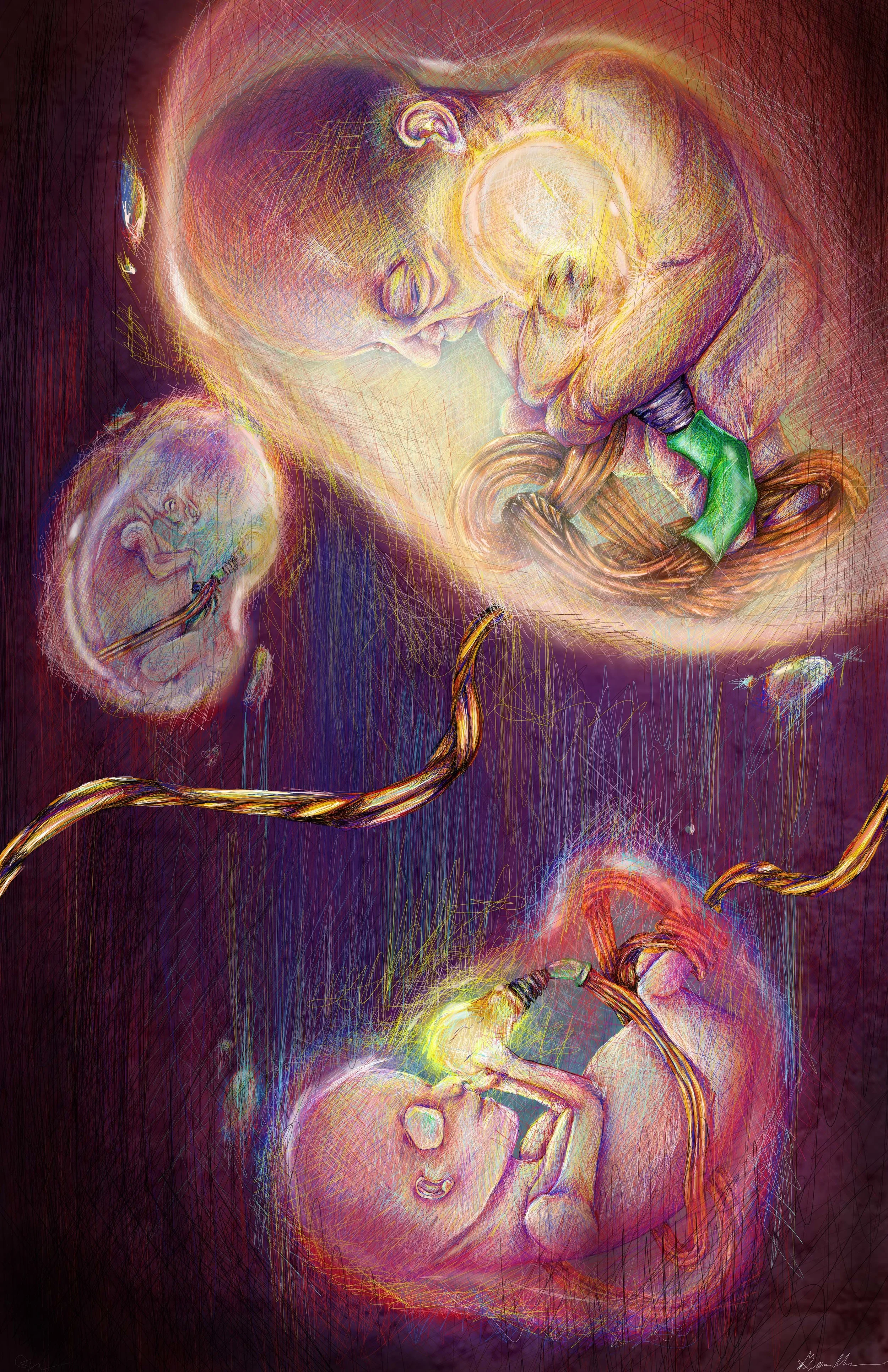 Human: Part One