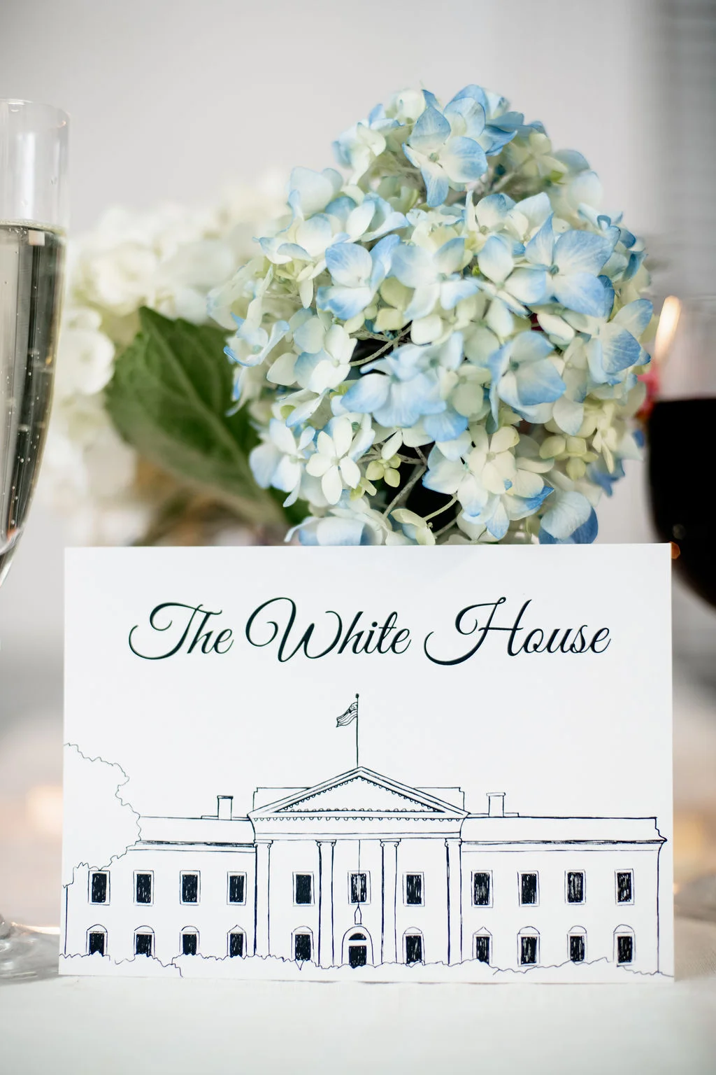 Washington DC Wedding Illustrations (26).jpg
