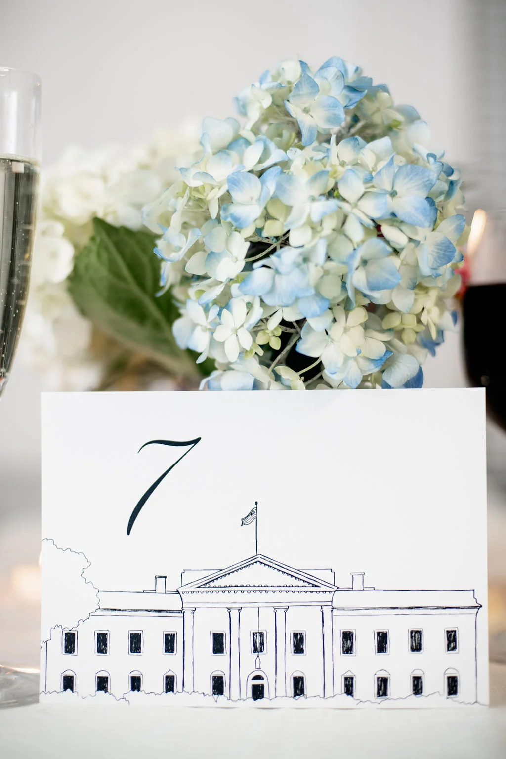 Washington DC Wedding Illustrations (38).jpg