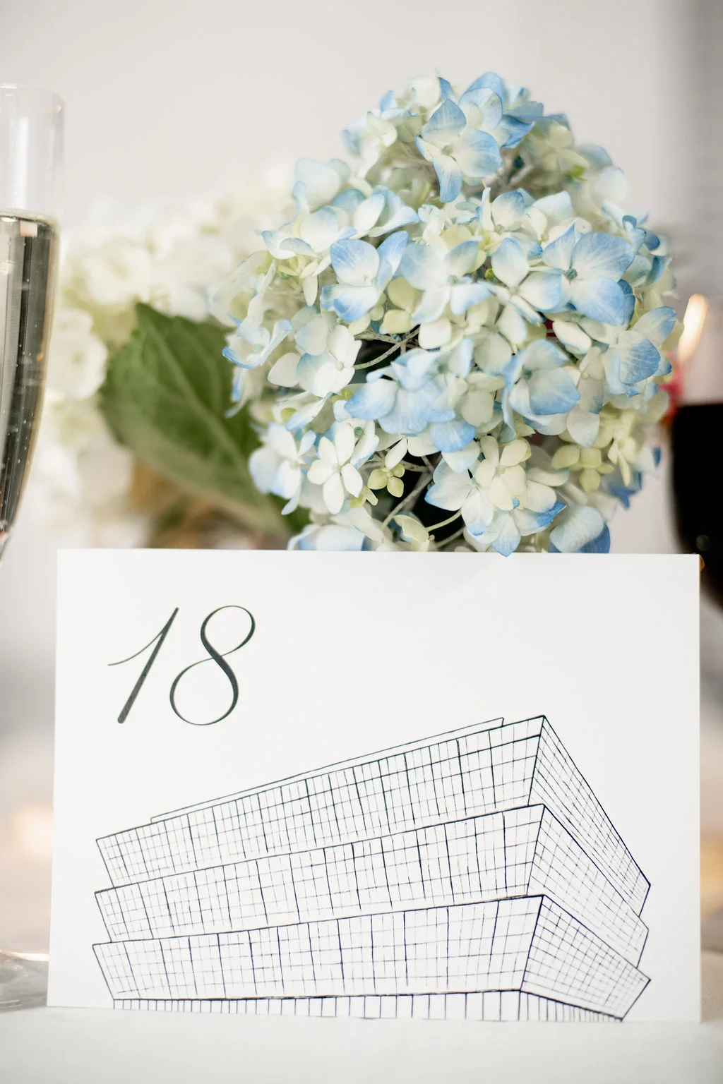 Washington DC Wedding Illustrations (49).jpg