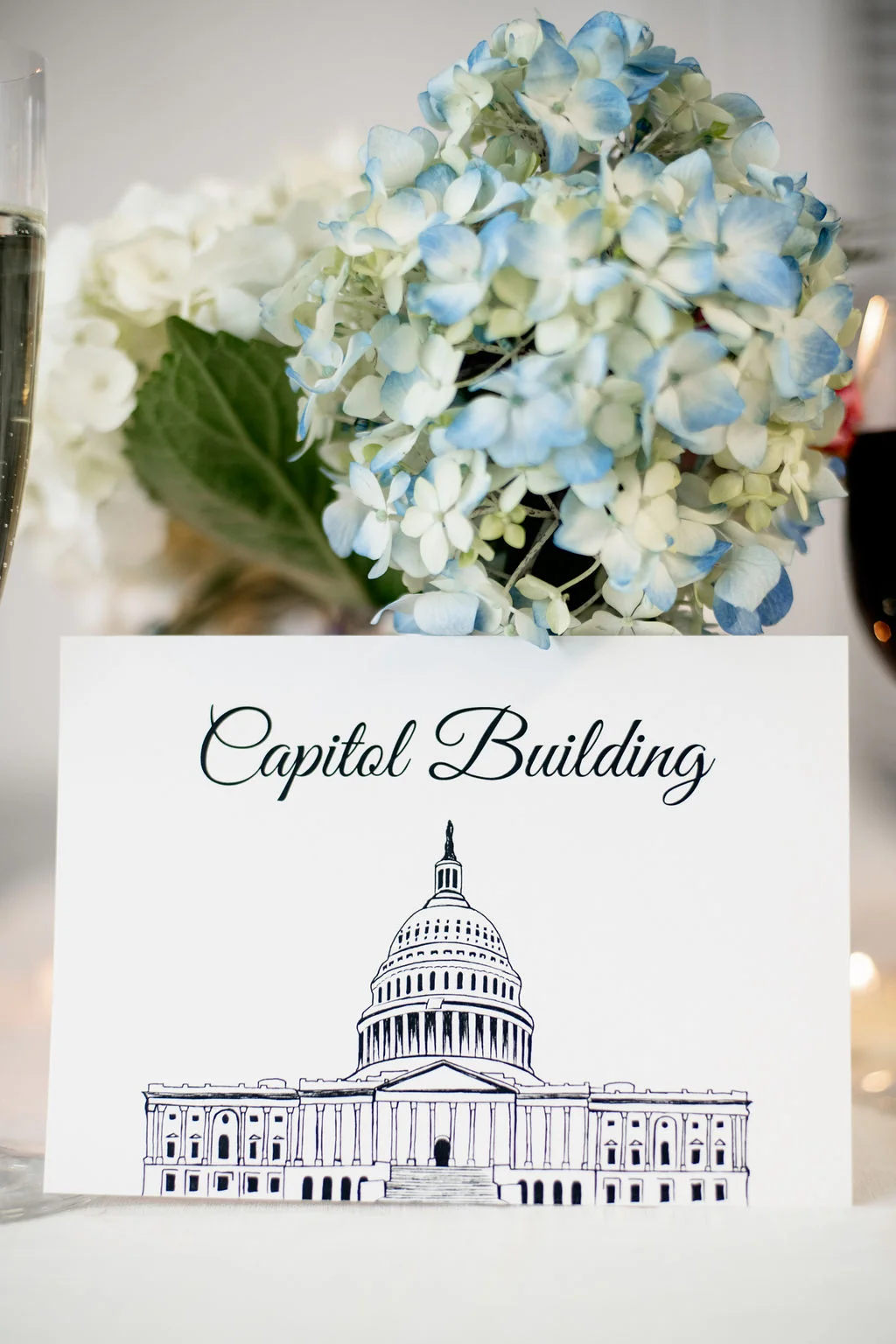 Washington DC Wedding Illustrations (7).jpg