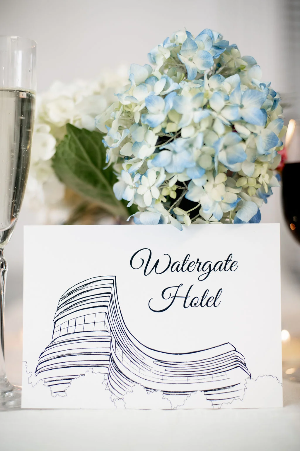 Washington DC Wedding Illustrations (17).jpg
