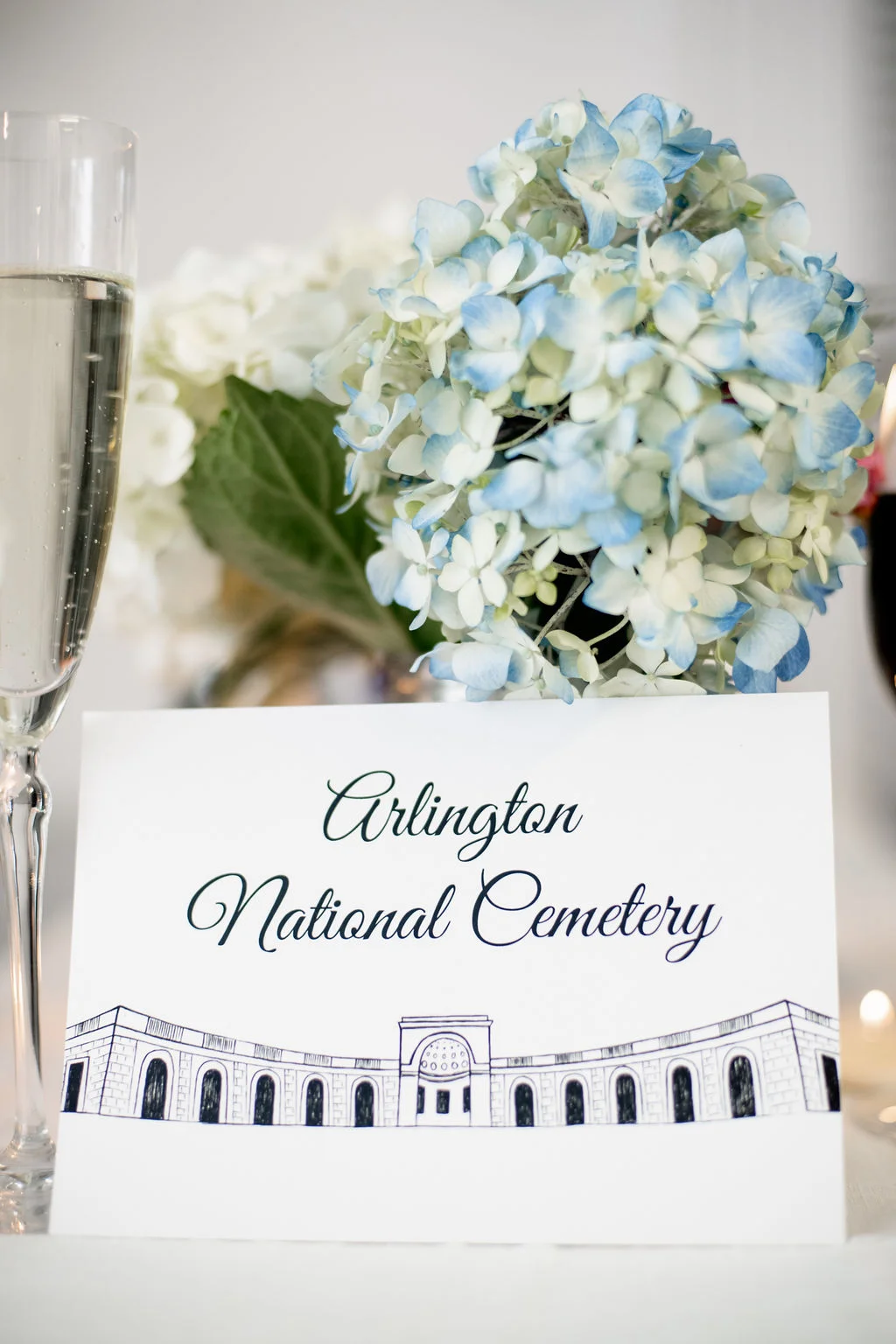 Washington DC Wedding Illustrations (18).jpg