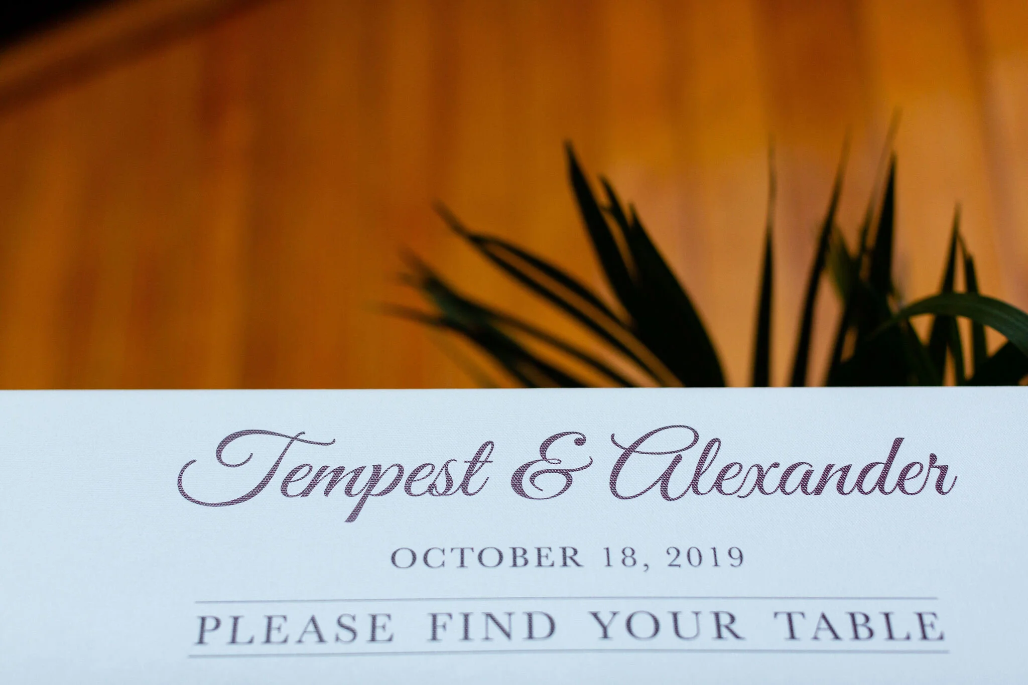 Tempest-Alex-New-York-Jamaican-multicultural-wedding-Petronella-Photography_405.jpg