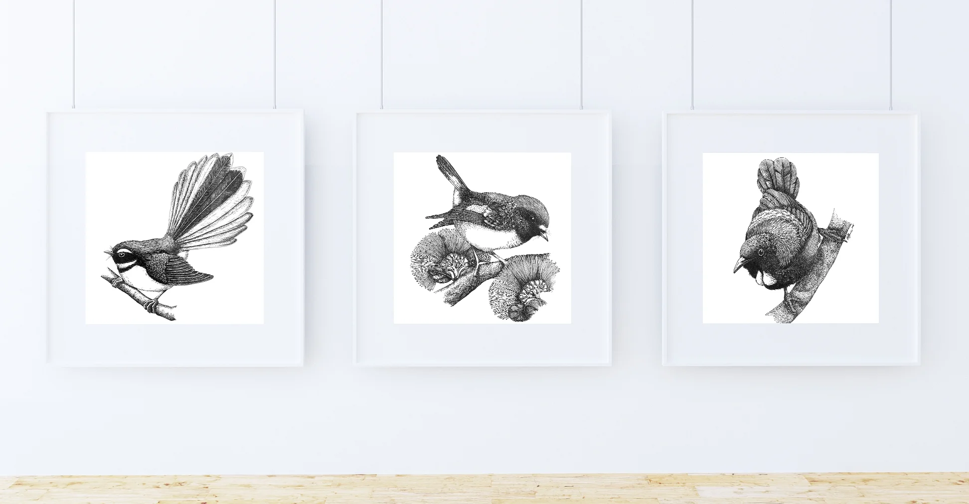 birds.jpg