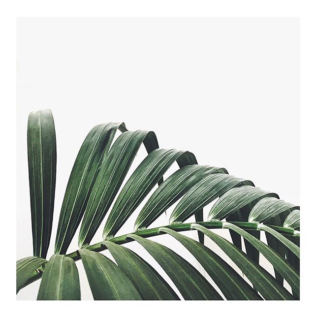 we believe in green. ππ
.
#aradebeauty