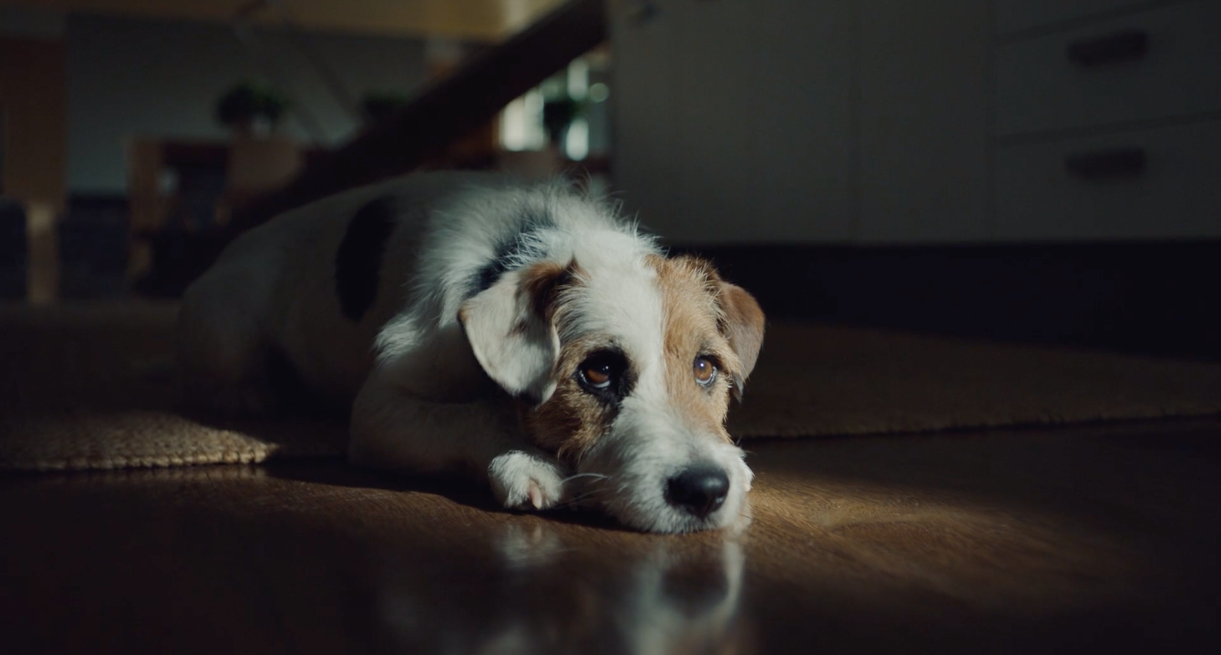 Screen Shot 2020-04-22 at 4.05.57 PM.png