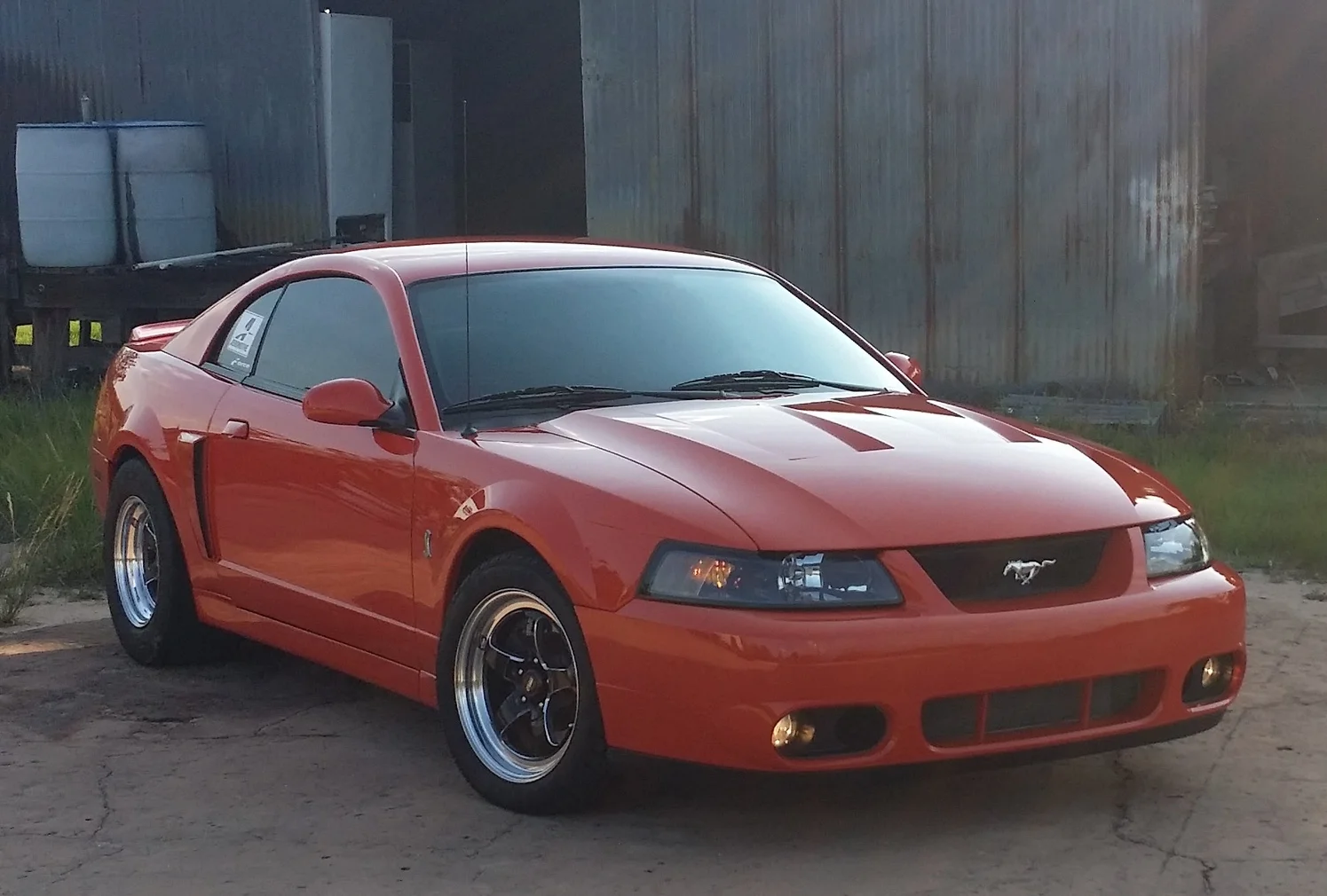 Jeff Smith's "Pumpkin"