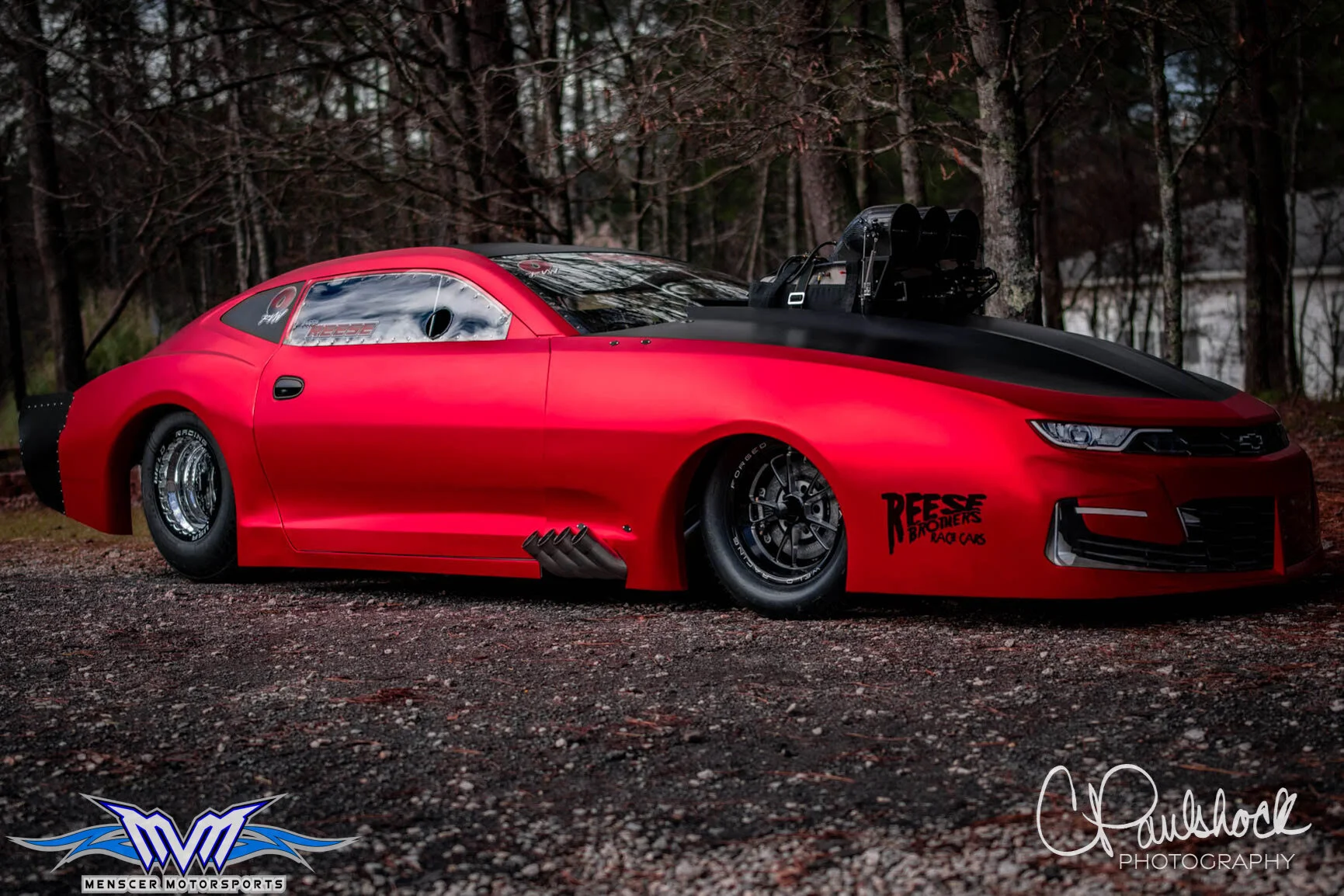 El Diablo II...A tale of Beauty &amp; The Beast (Full Gallery)
