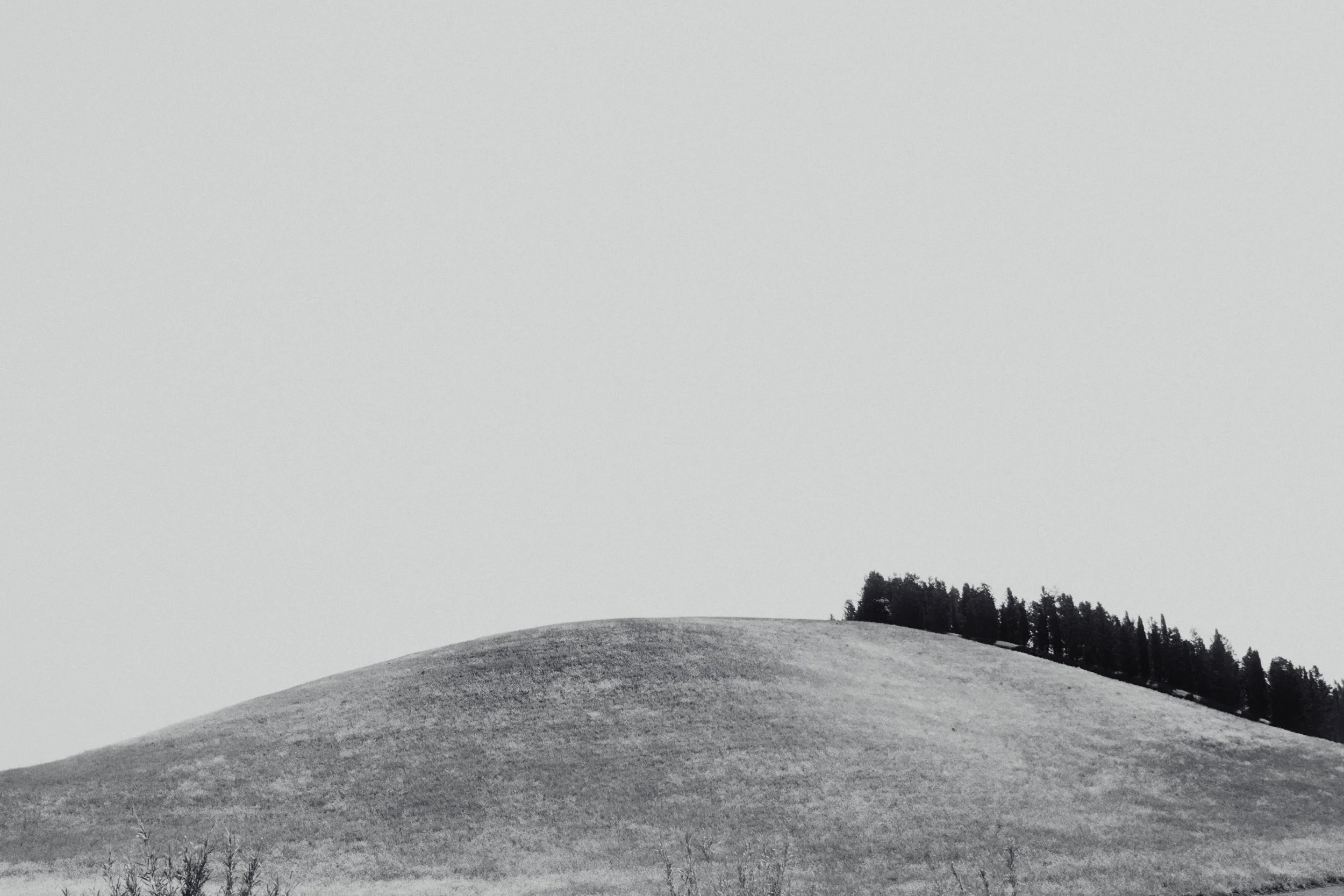 DSCF4696.jpg