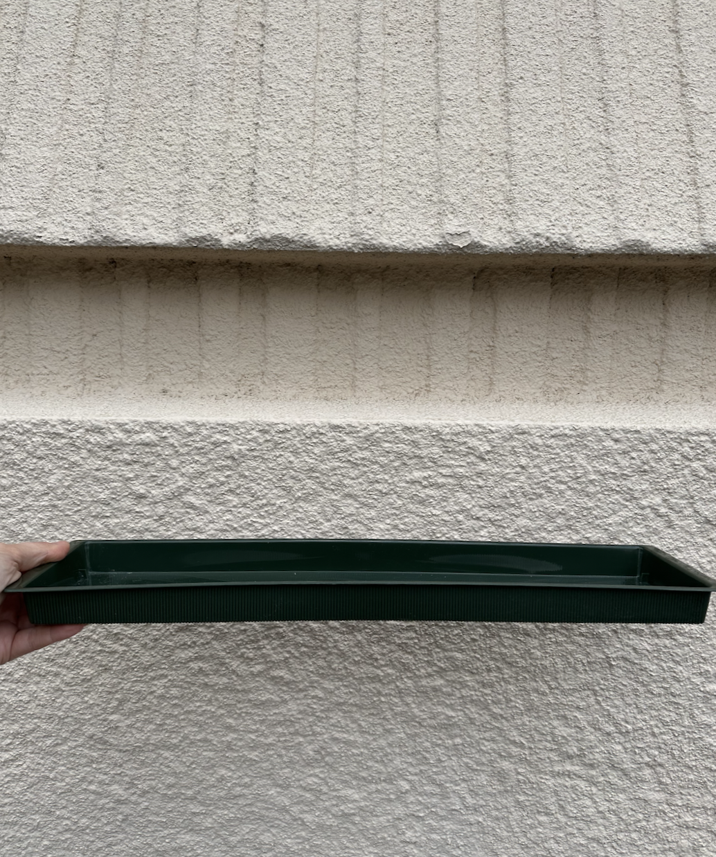 Double Foam Trays - Set of 12