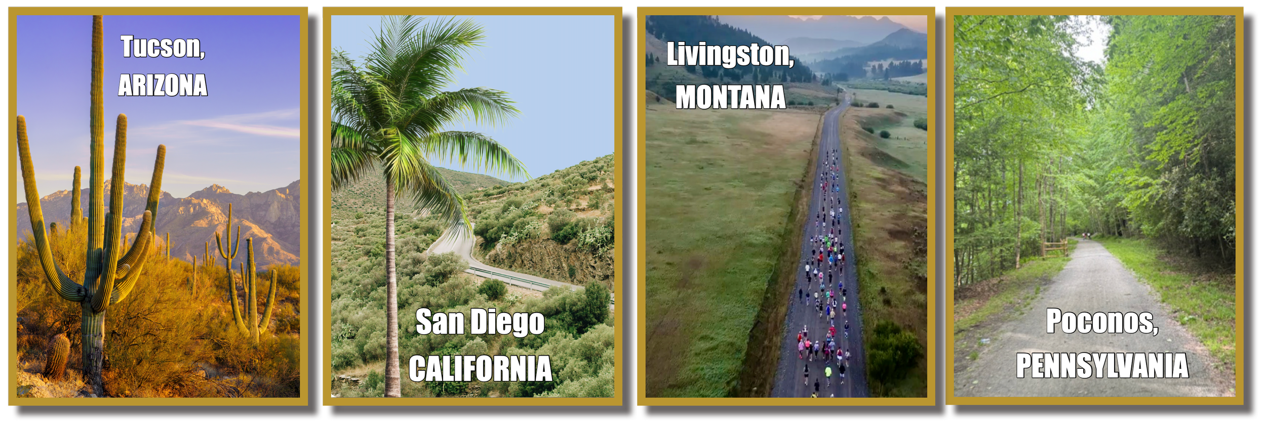 wicked fast banner fb.png