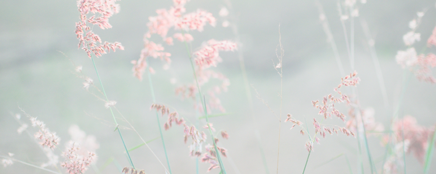 banner_donate_unsplash_cr_lighter.png
