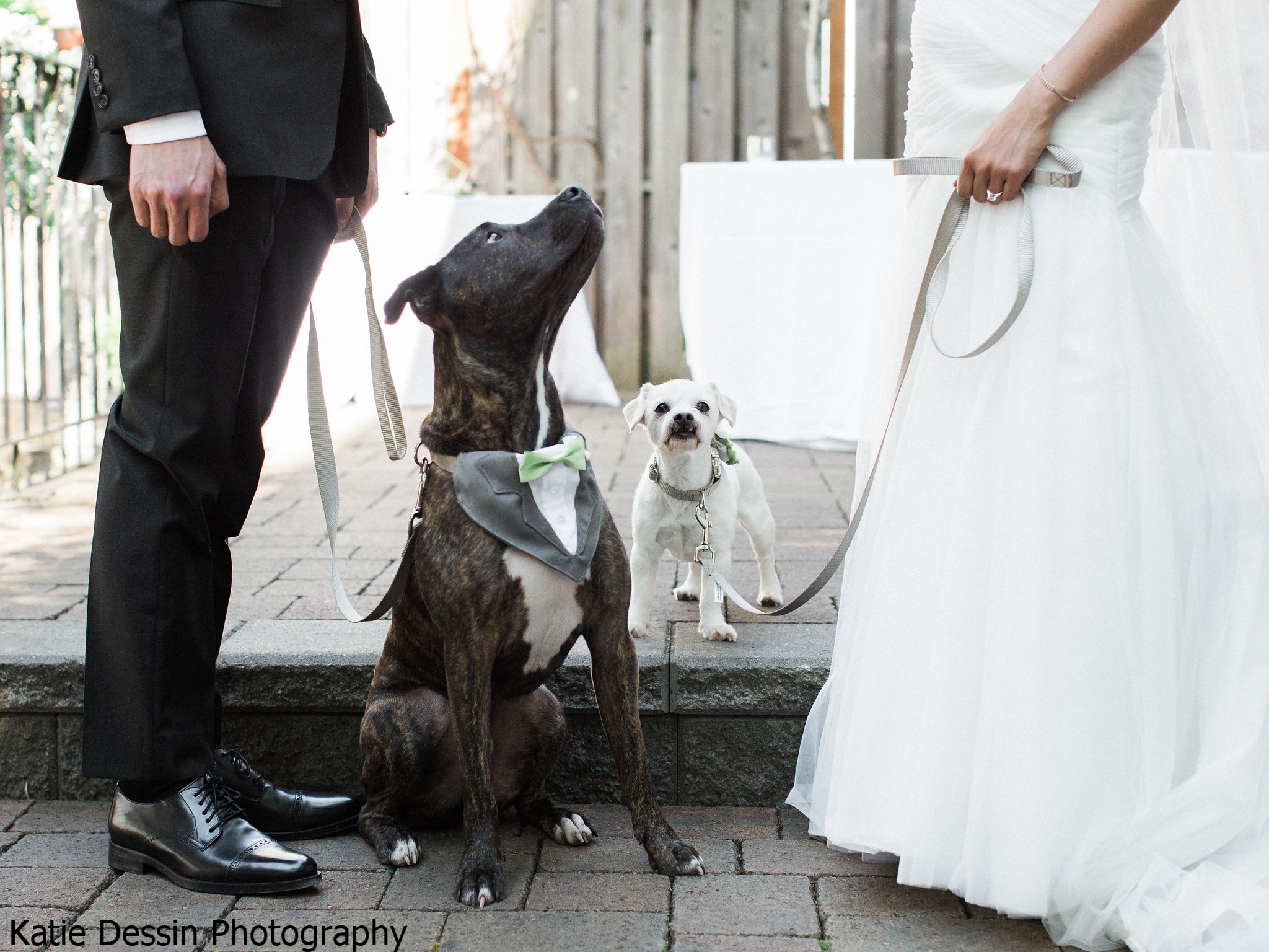 karl-cristie-and-joe-wedding-highlights-36.jpg