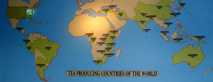 A map of tea producing countries