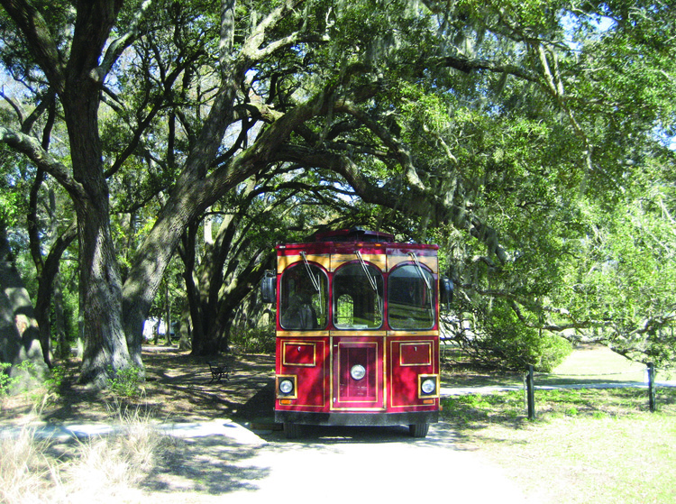 A trolley parked under the oak trees