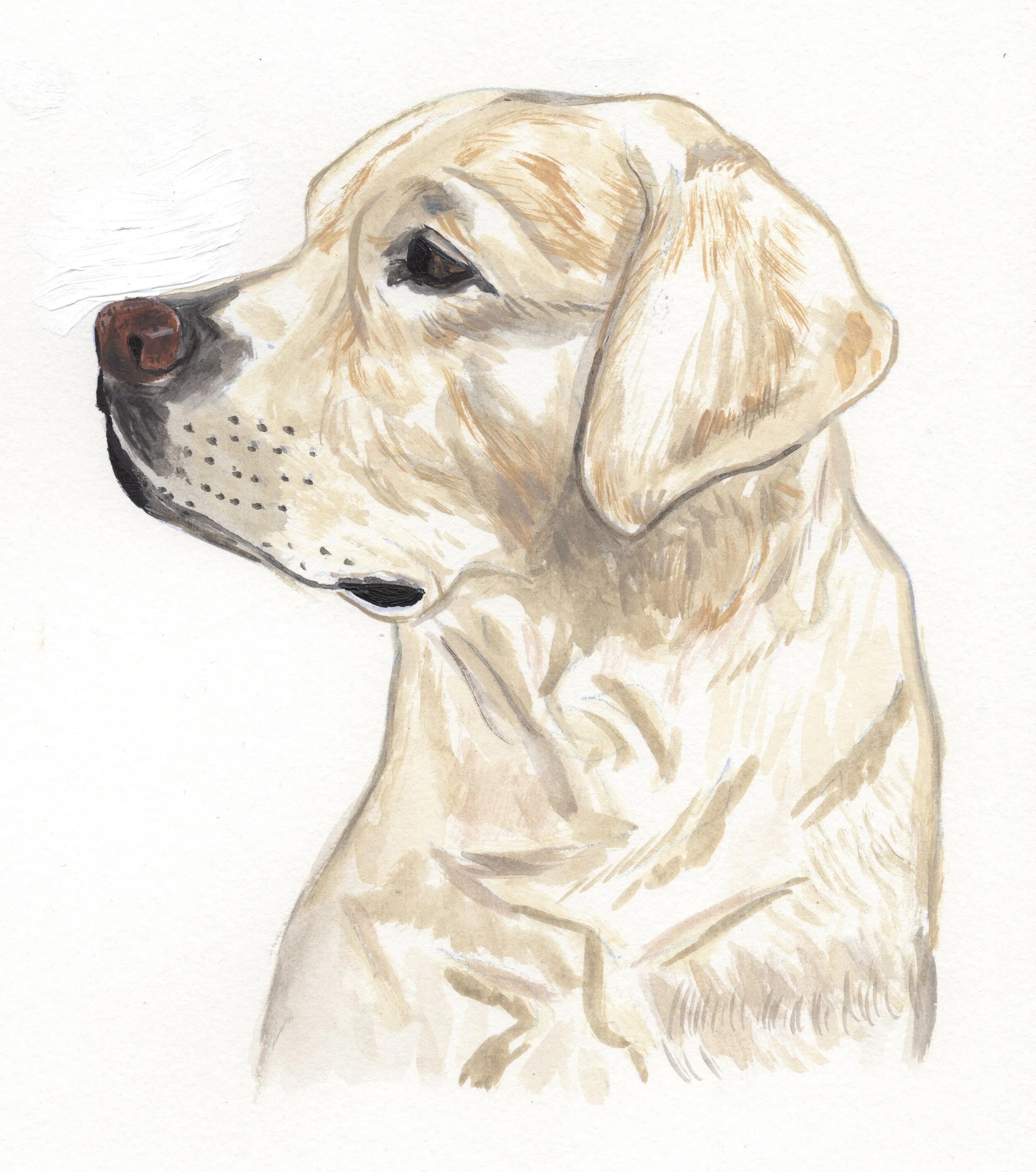 custom pet portrait (OCTOBER DELIVERY)