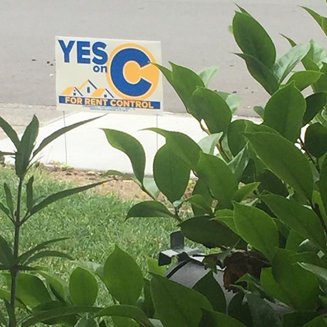 Surprising aspect of becoming a full grown woman: being the kind of person that displays lawn signs. #affordablehousing #yesonc #totallyclashes #whoarewekidding #girlsgetreal #grownasswoman #resistance