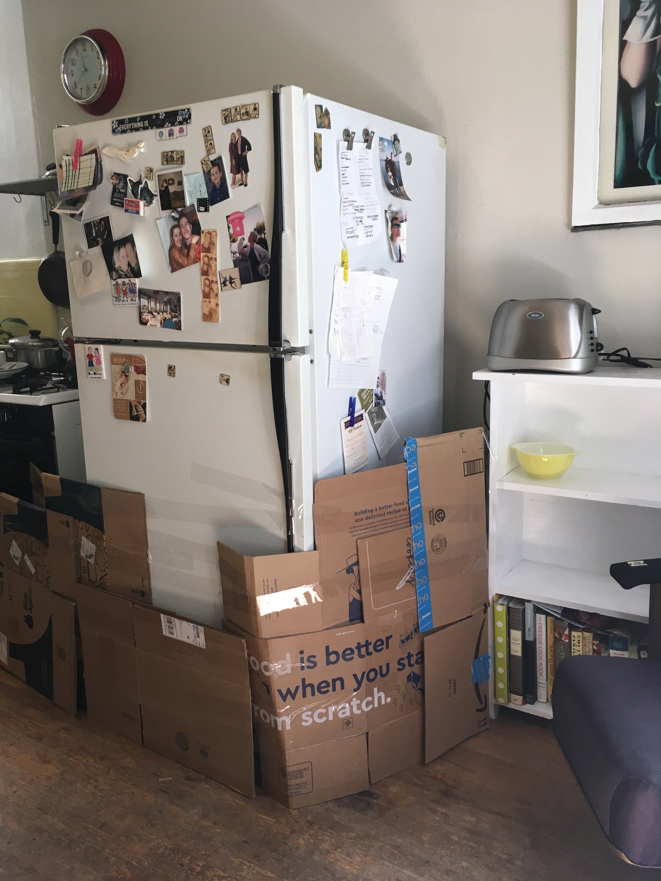 Meg had to design a meth fort out of Blue Apron boxes to trap the rat. Blue Apron, a better way to exterminate. 