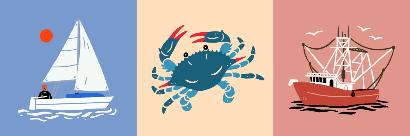 FWCC-spots-01.png