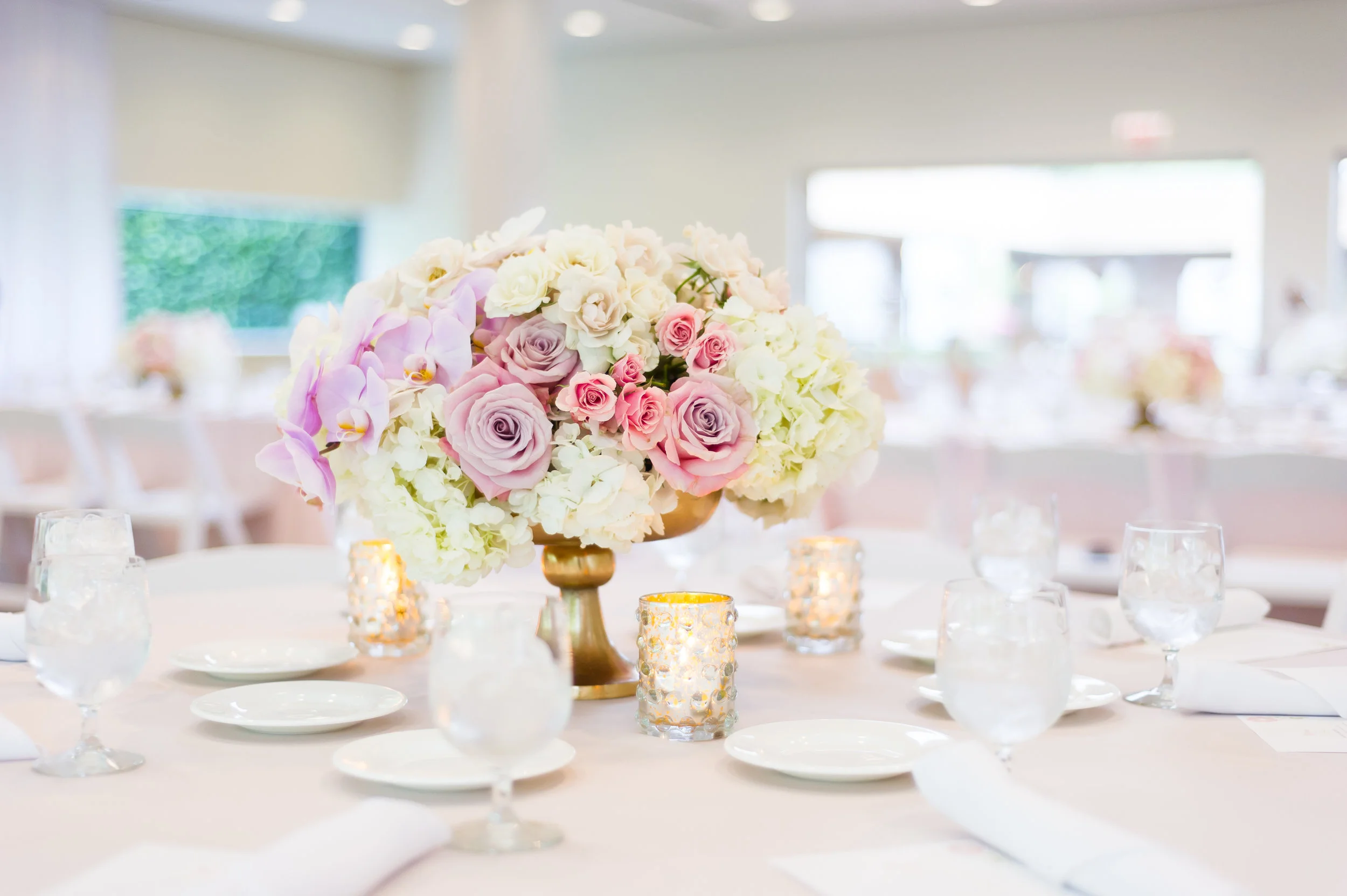 Chicago Botanic Garden Sip & See: Siena Rose