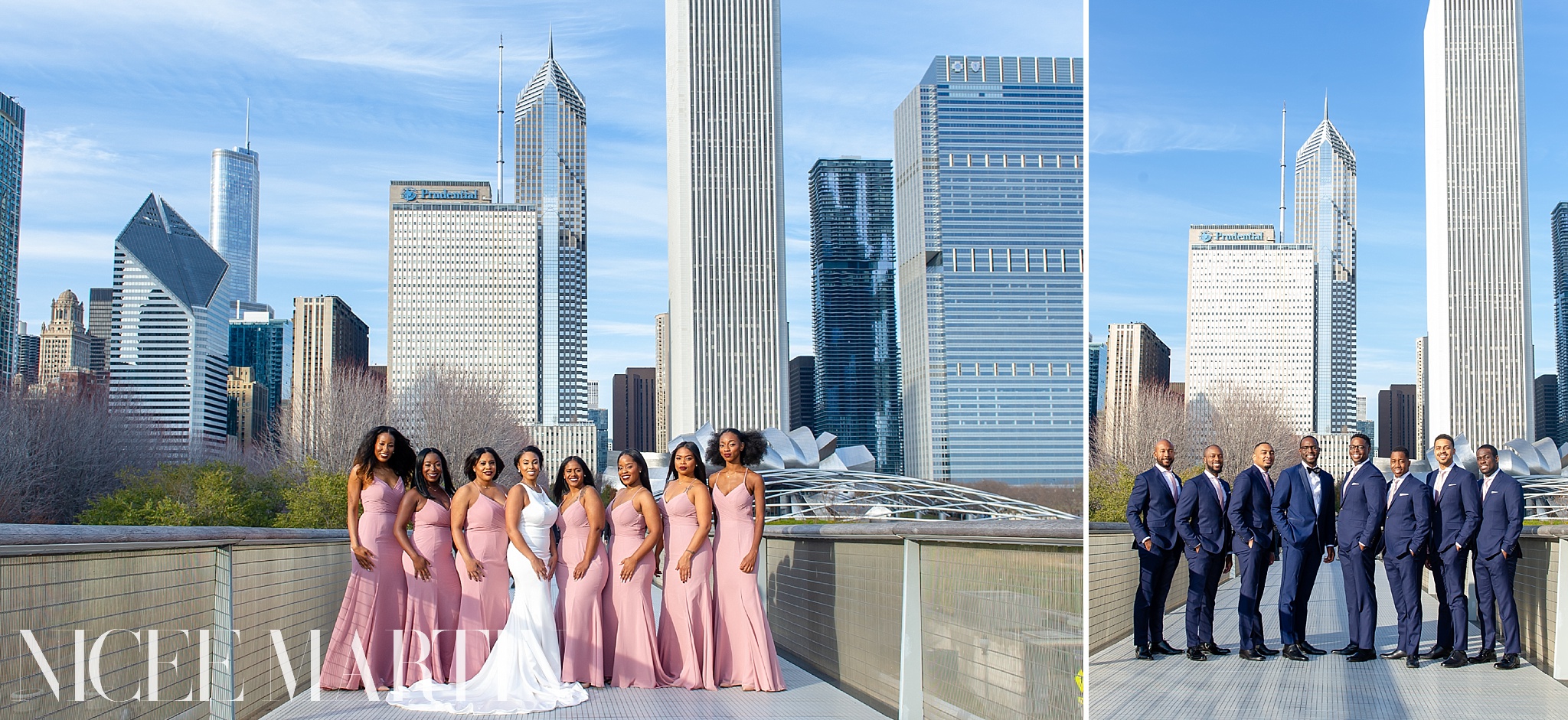 Chicago Wedding Photographer_0069.jpg