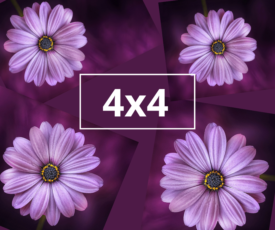      

 
    THE 4X4    4 Pole Classes  at your level   4 Exotic Fitness Classes   8 weeks to use  $179  Not a monthly membership charge… and no registration fee!   How to get The 4x4:    Go to MEMBERSHIPS in Bookeo.    Scroll down to find your 4x4: 