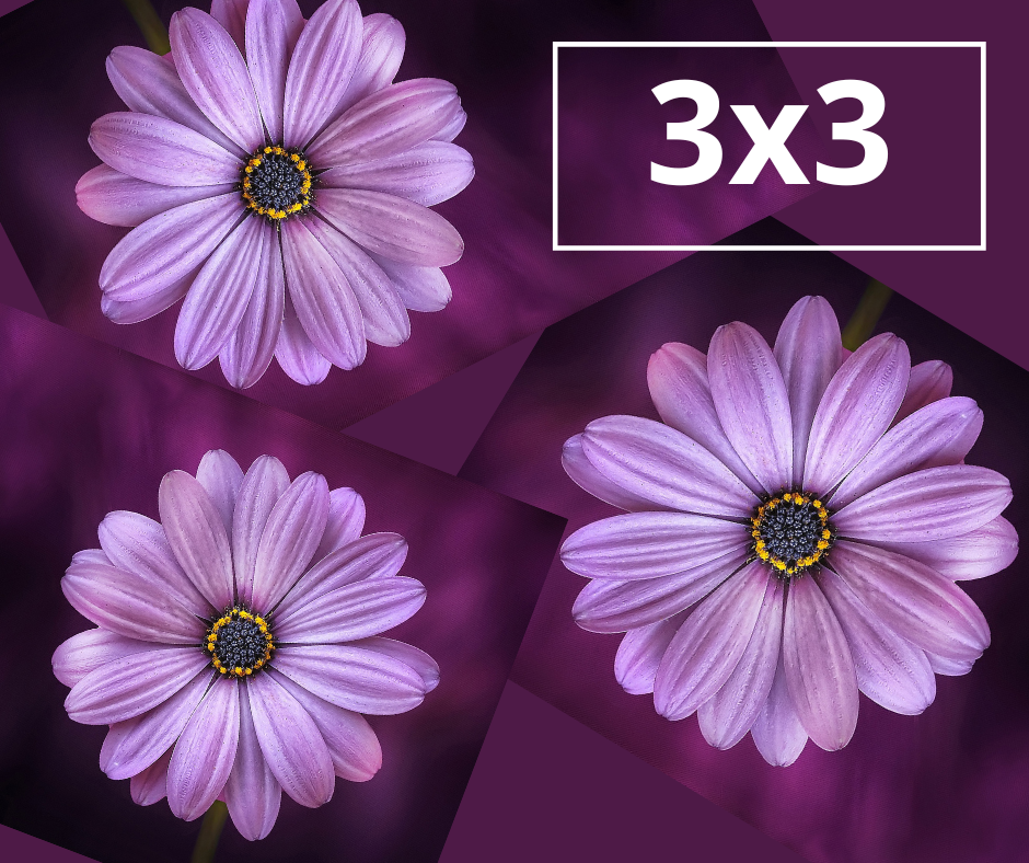      

 
    The 3x3    3 Pole Classes  at your level   3 Exotic Fitness Classes   8 weeks to use  $127  Not a monthly membership charge… and no registration fee!   How to get The 3x3:    Go to MEMBERSHIPS in Bookeo, scroll down to find your 3x3:  
 