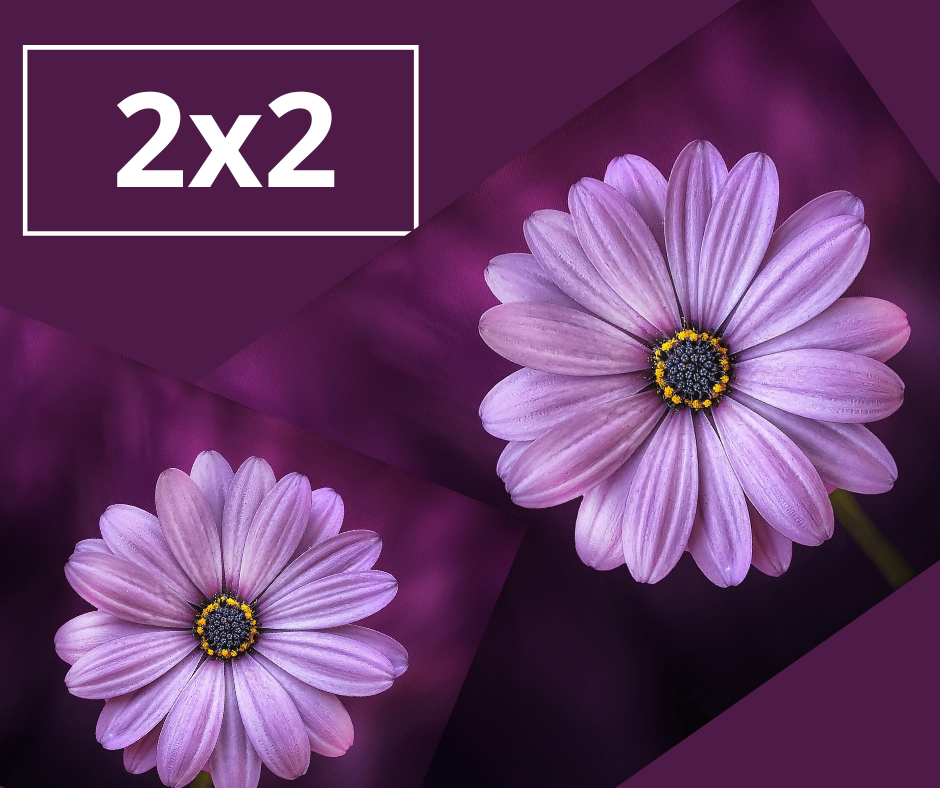      

 
    The 2x2    2 Pole Classes  at your level   2 Exotic Fitness Classes   8 weeks to use  $79  Not a monthly membership charge… and no registration fee!   How to get The 2x2:     Go to MEMBERSHIPS in Bookeo, and scroll to find your 2X2:  
 
