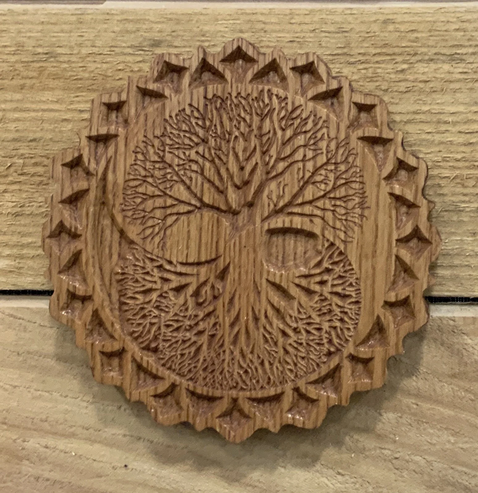 2022-09-09 11.52.39.jpg