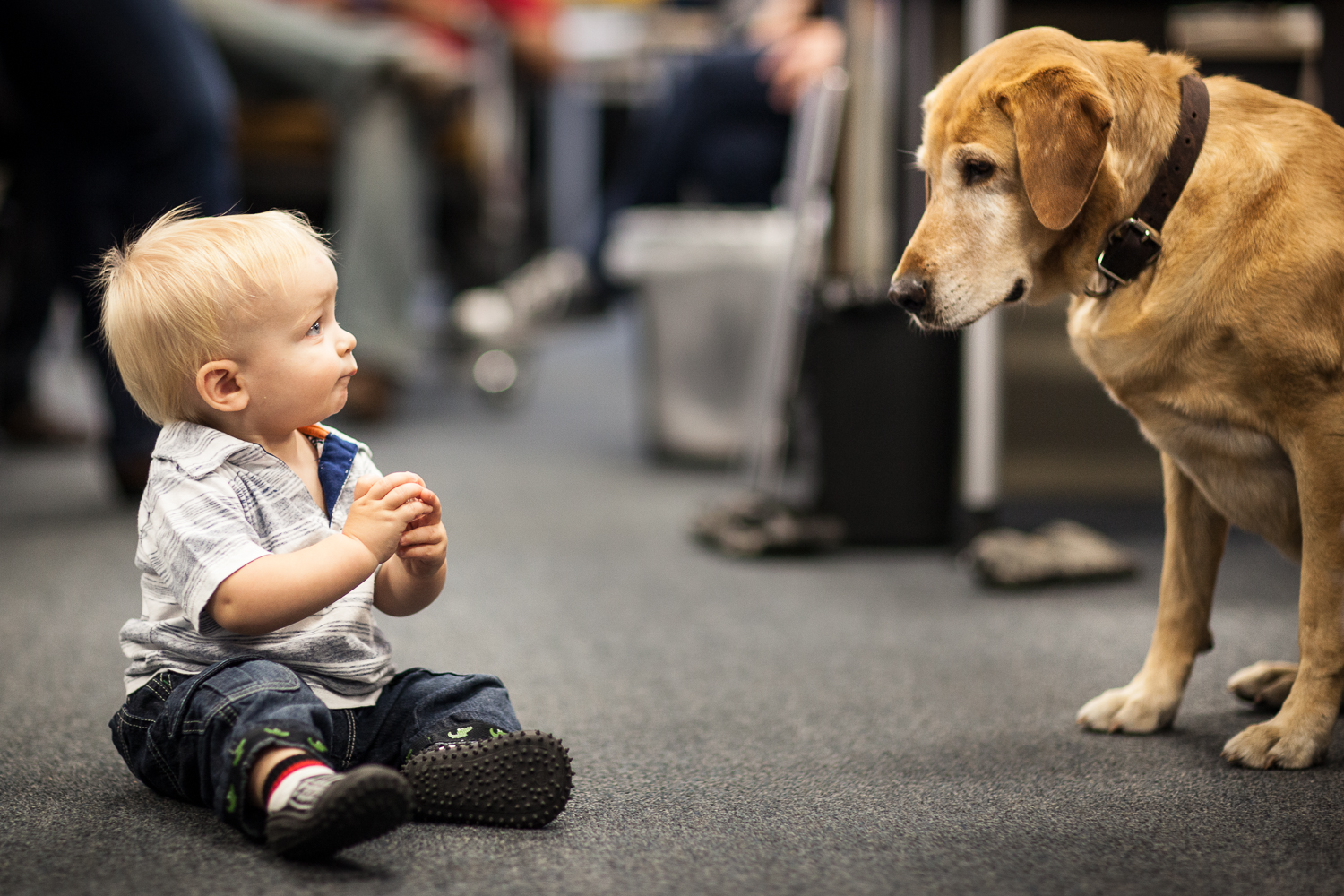 1099 Weekly: Would you bring your newborn to work? 
