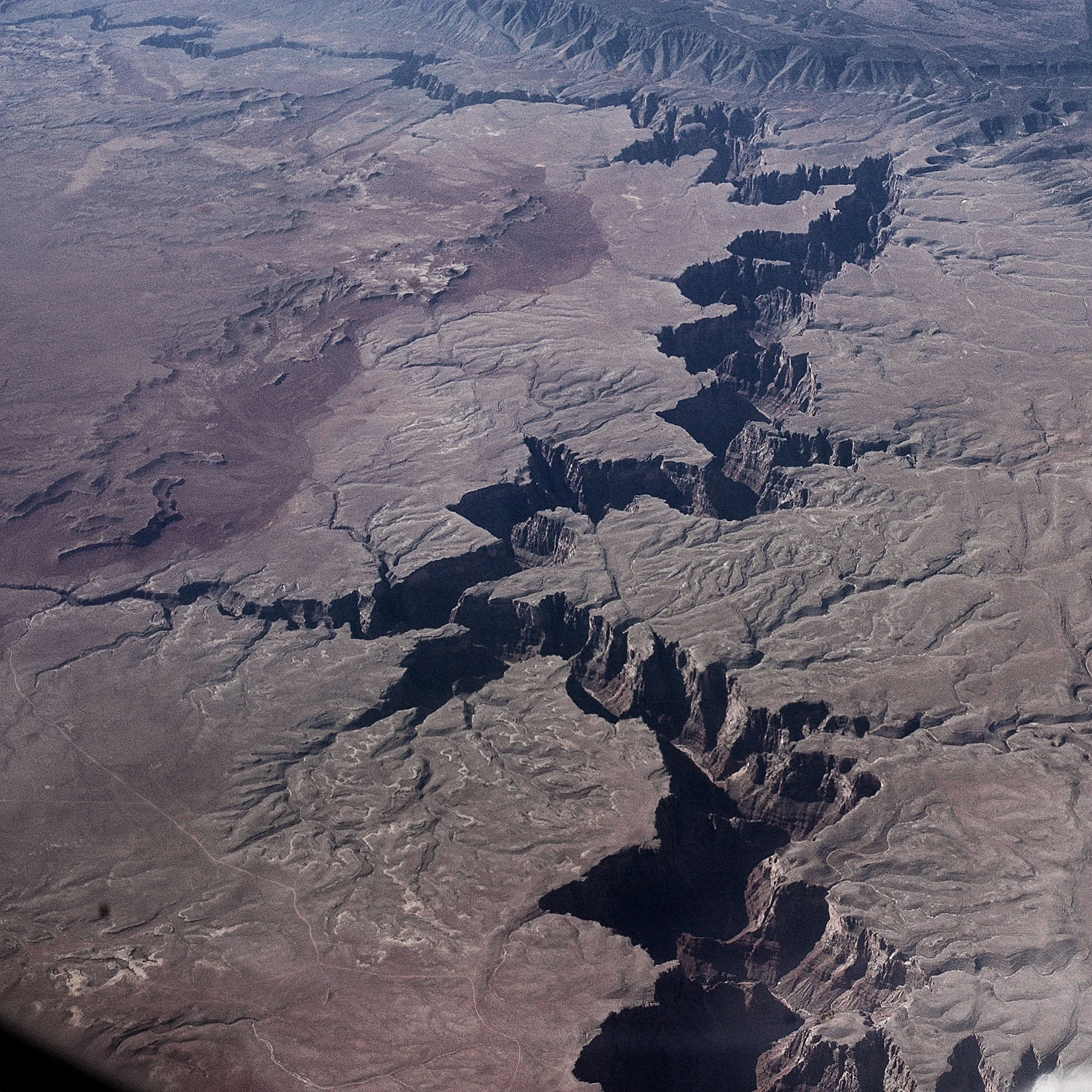 Jerry Shepherd's Second Rebuttal to Chris Date