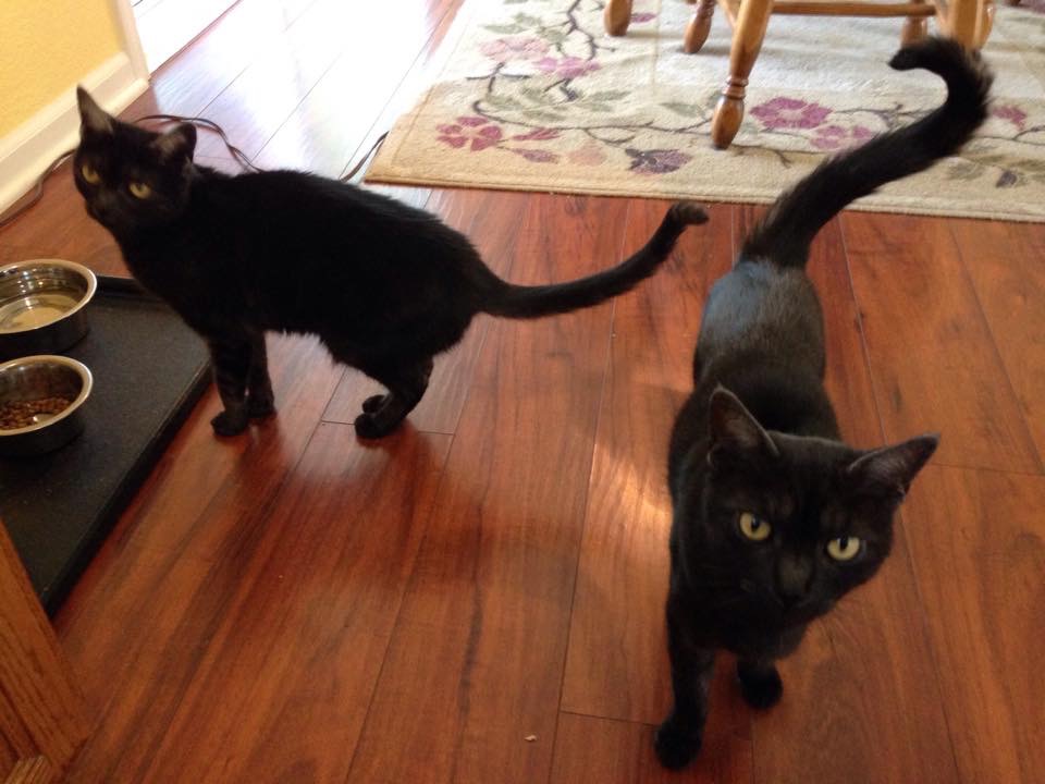 Bea and Mim, Auburn, CA