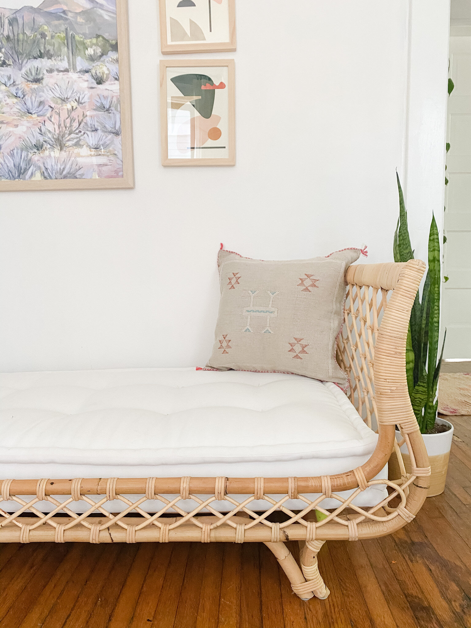 293 - Cactus Silk Pillow