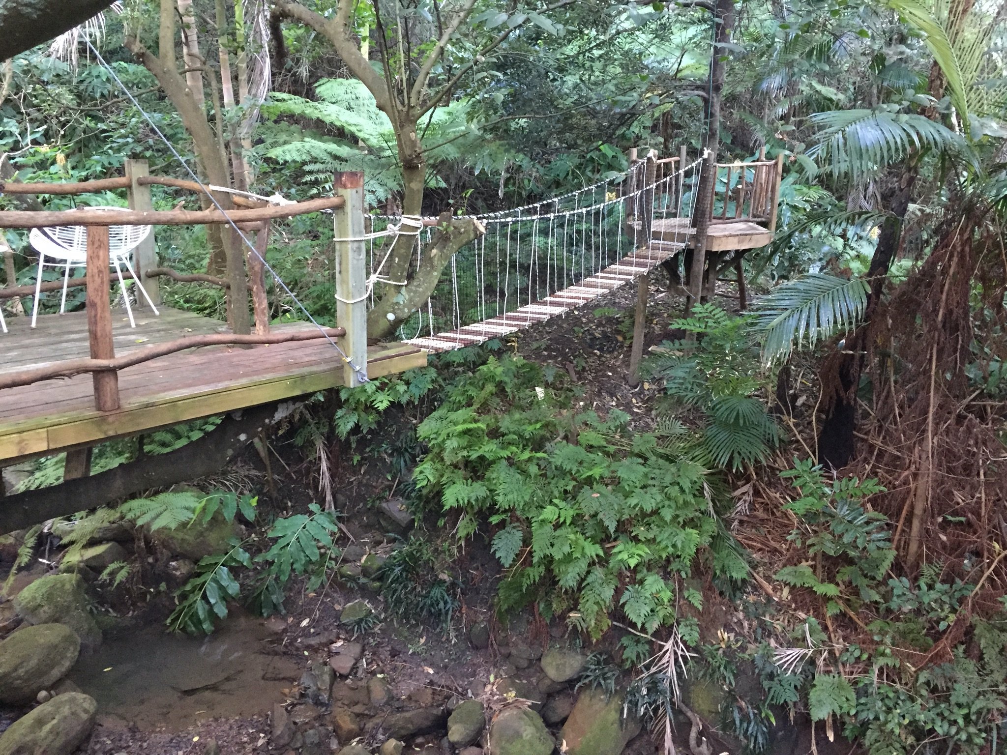 treehouse suspension bridge between platforms.jpg