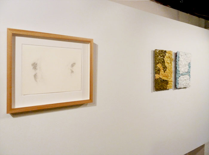  Installation view,&nbsp; Bred and Fed , STL, Iowa City, 2012 