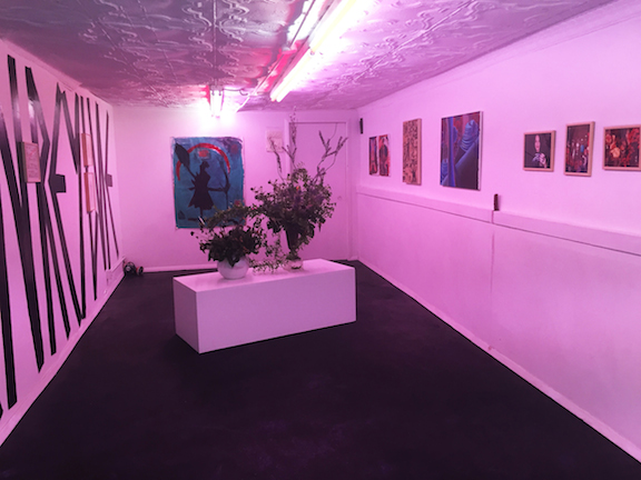  Installation view,&nbsp; Charmed , STL, NY,&nbsp;2015 