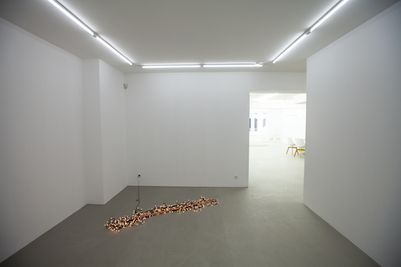  Installation view,&nbsp; Sweet Potato , STL,&nbsp;Luxembourg, 2014 