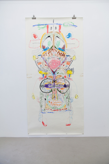  Ross Simonini,&nbsp; Getting in touch with my Parasympathetic  Nervous System, 2013, acrylic, pencil, ink, crayon, and colored pencil on paper, 82 x 42 in 
