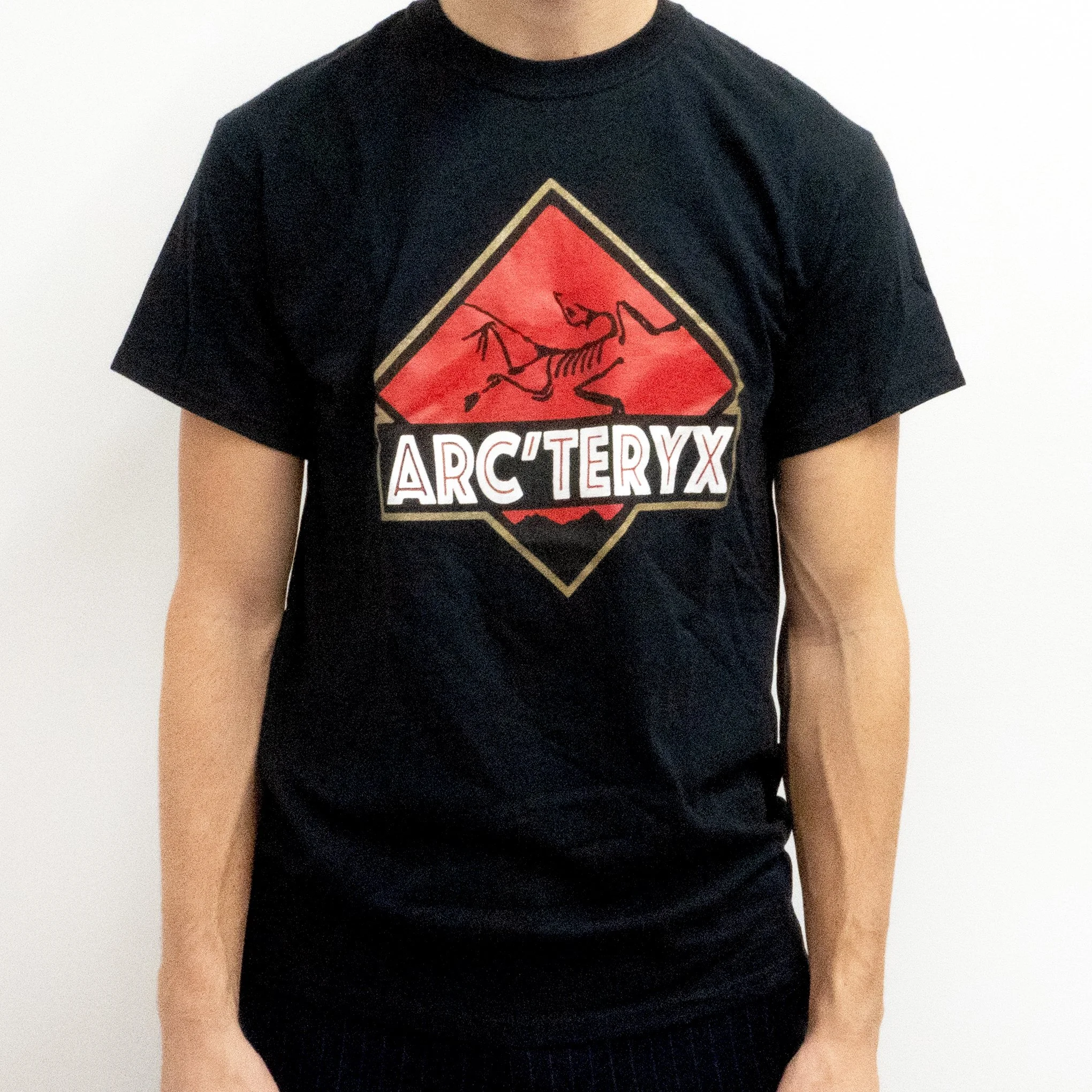 ARC'TERYX short sleeve front .jpg