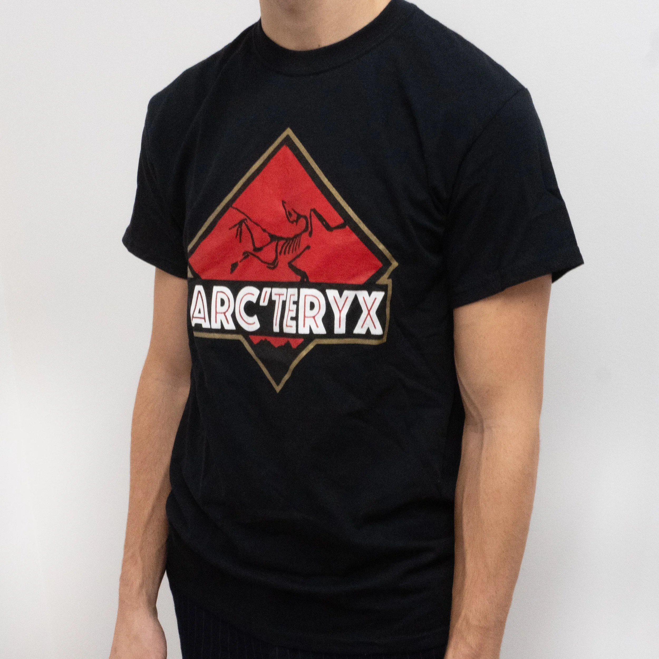 ARC'TERYX short sleeve 3:4.jpg
