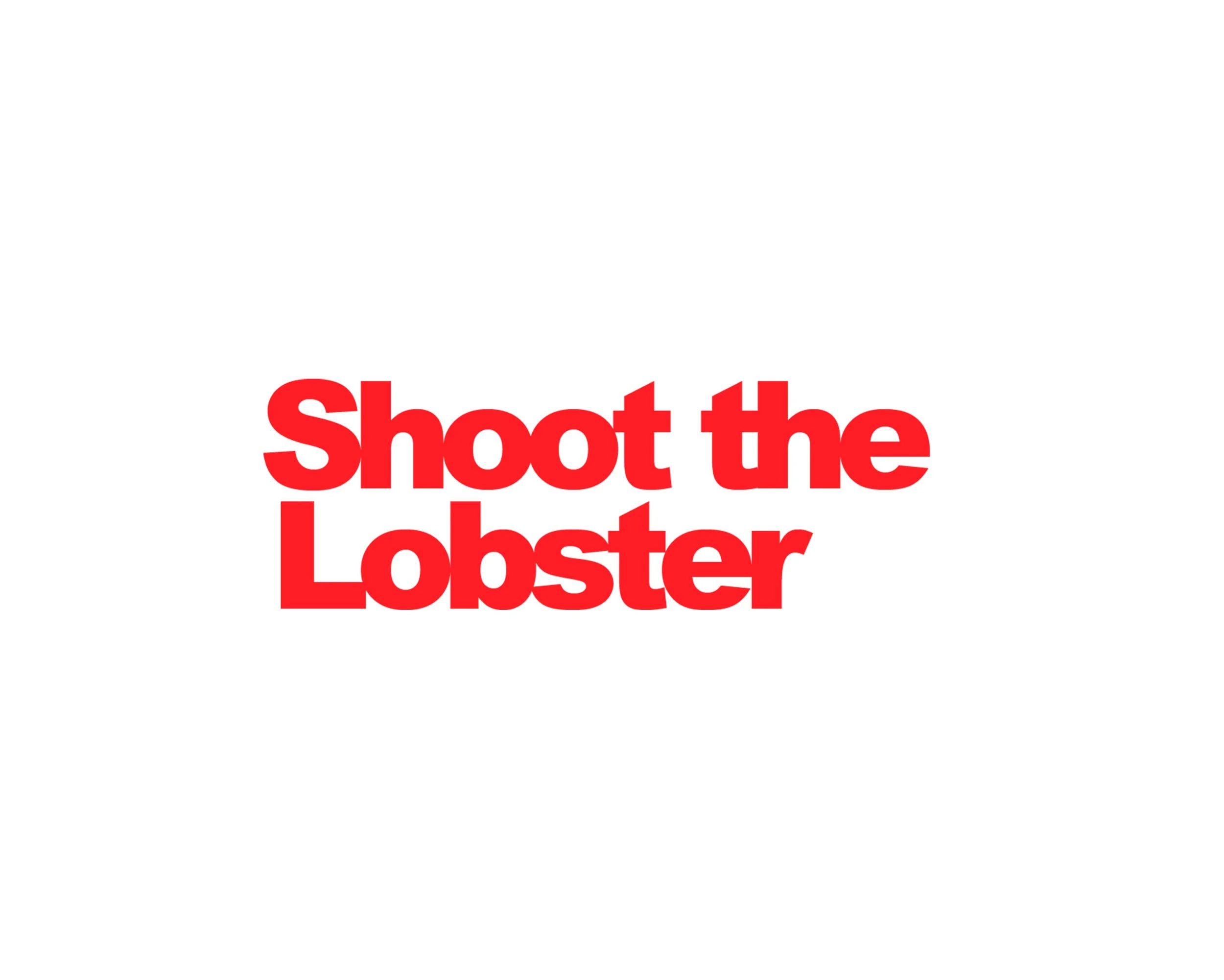 STL website background.jpeg