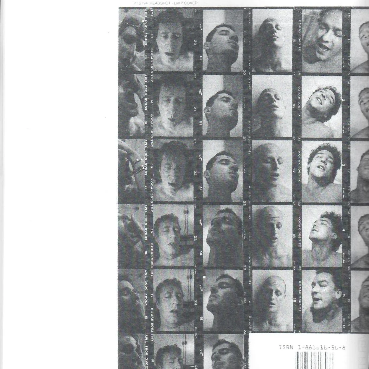 Mike Kelley page .jpg