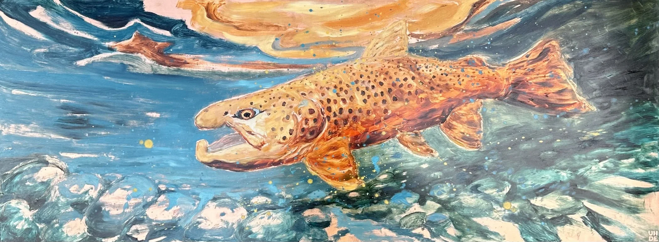 SHADOWS ON THE STREAM