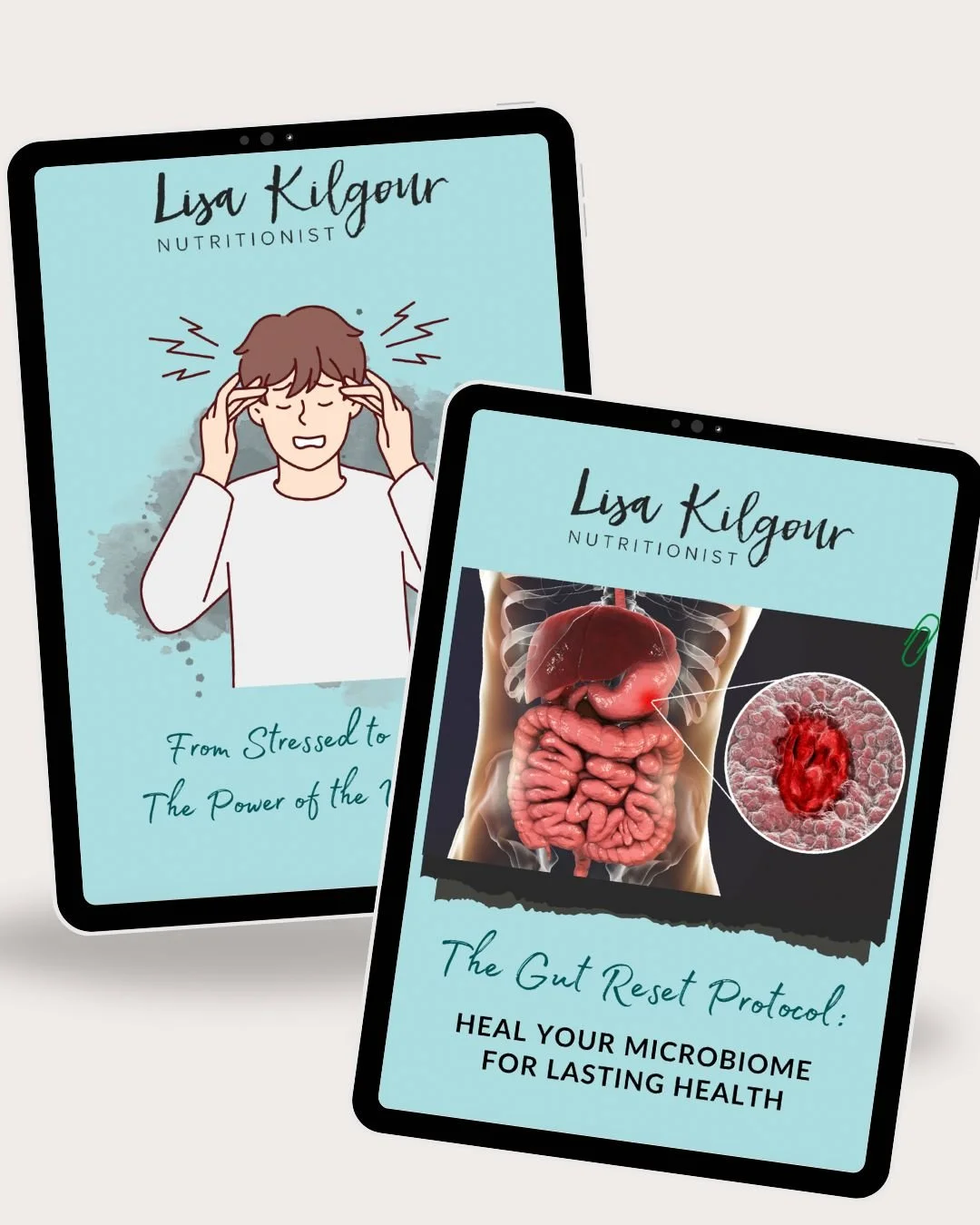 Gut and Vagus Nerve Mock up.jpg