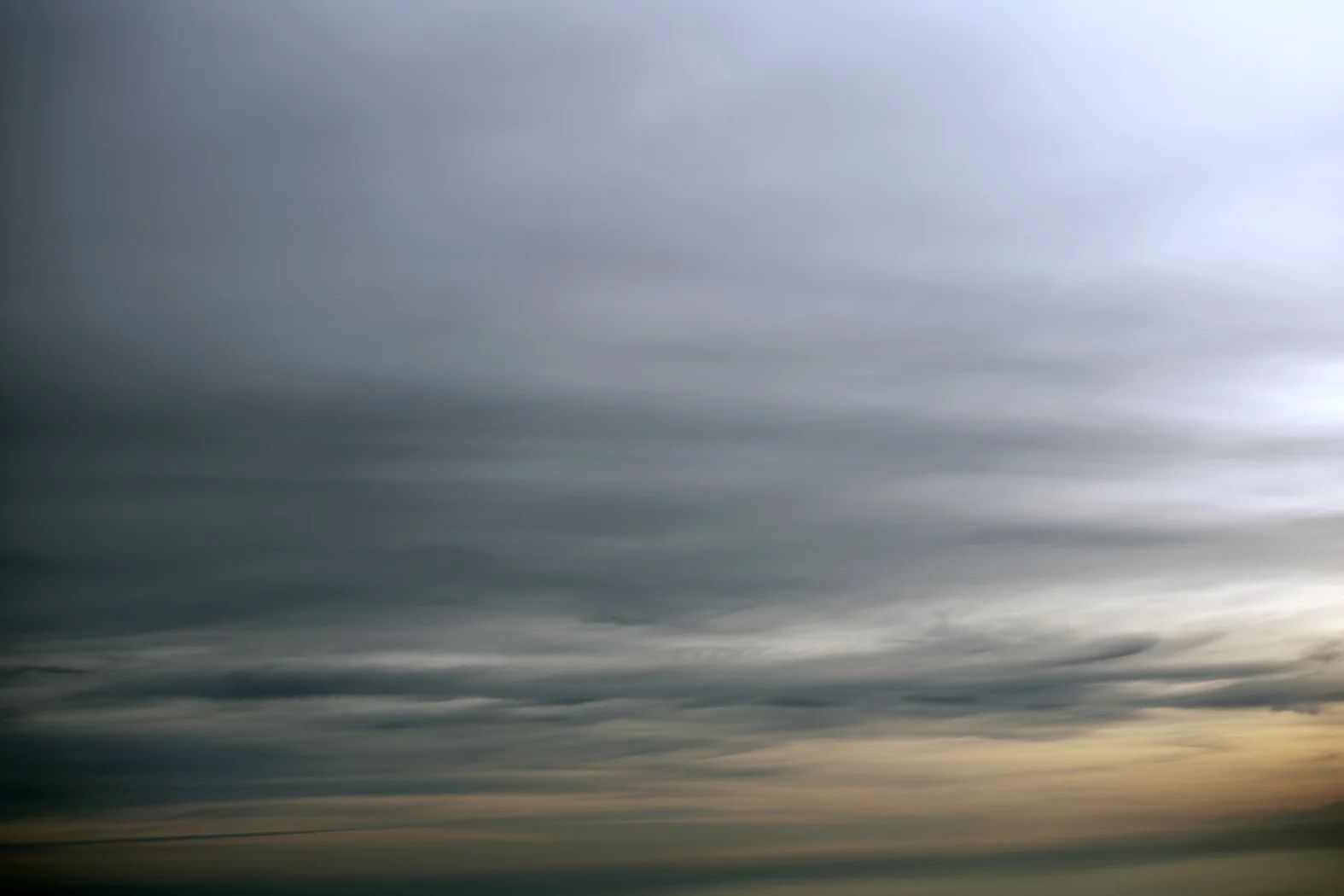 L1008751.jpg
