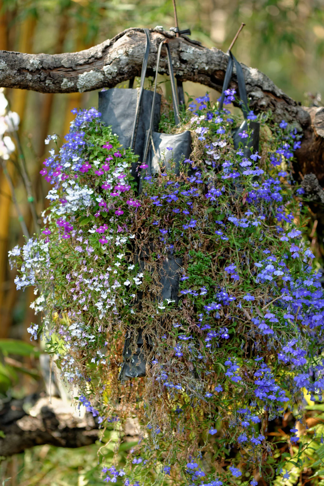 _DSC2539_DxO.jpg