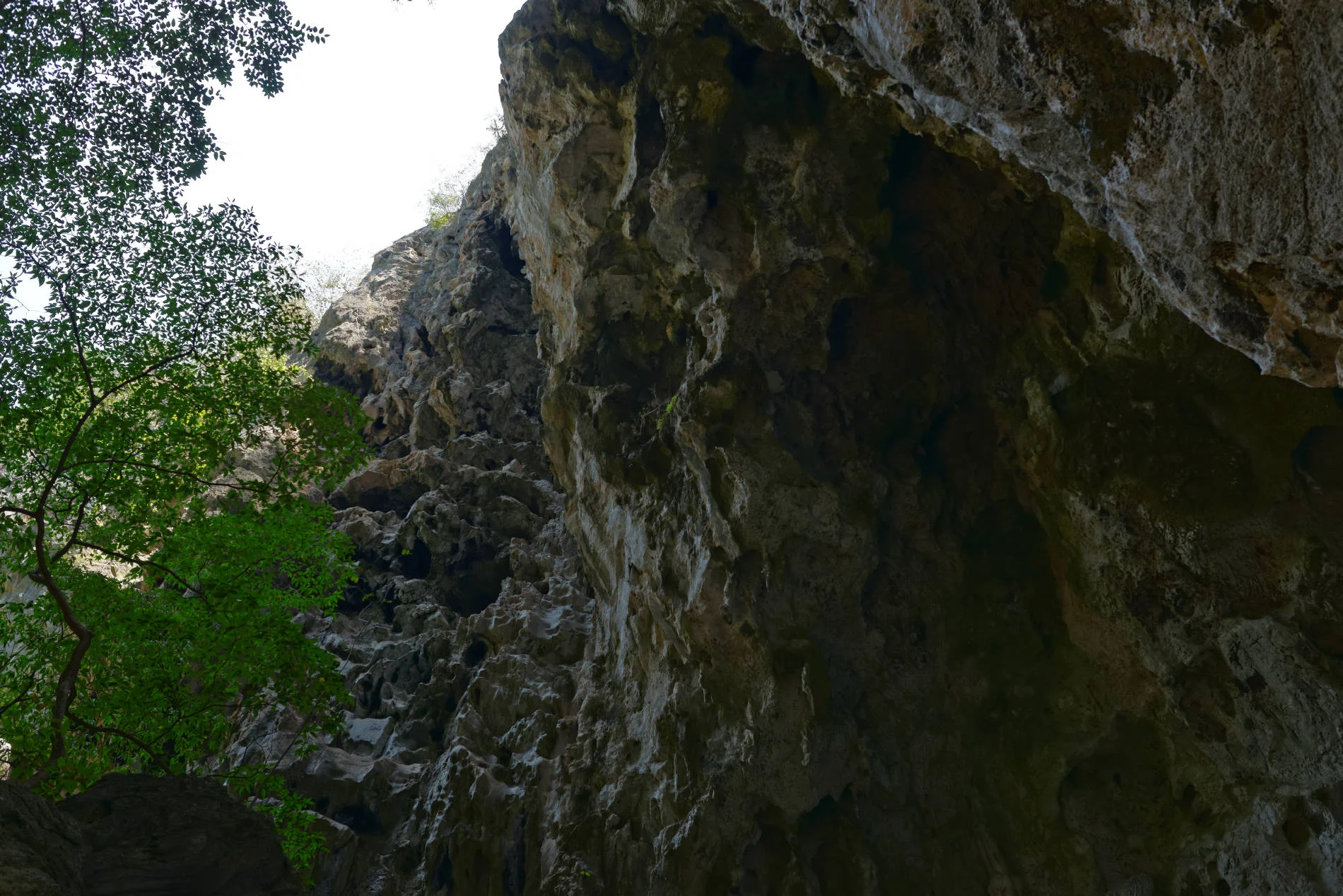 _DSC2801_DxO.jpg